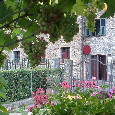 Agriturismo A Veggia Vigna Villa Garlenda Exterior foto